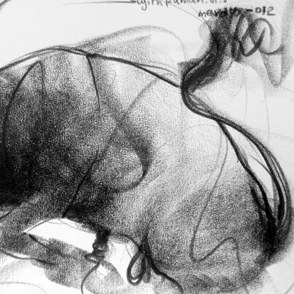 Bull Drawing-119a