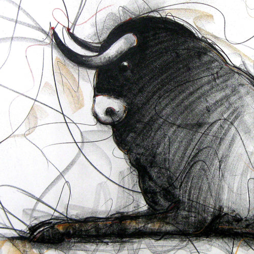 Bull Drawing-122