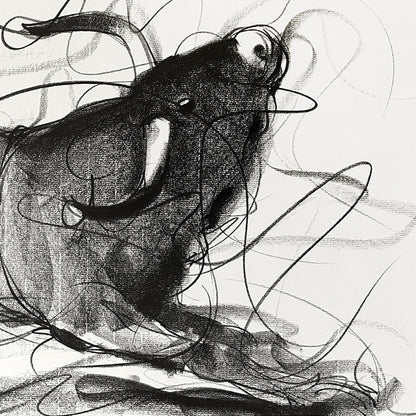 Bull Drawing-642