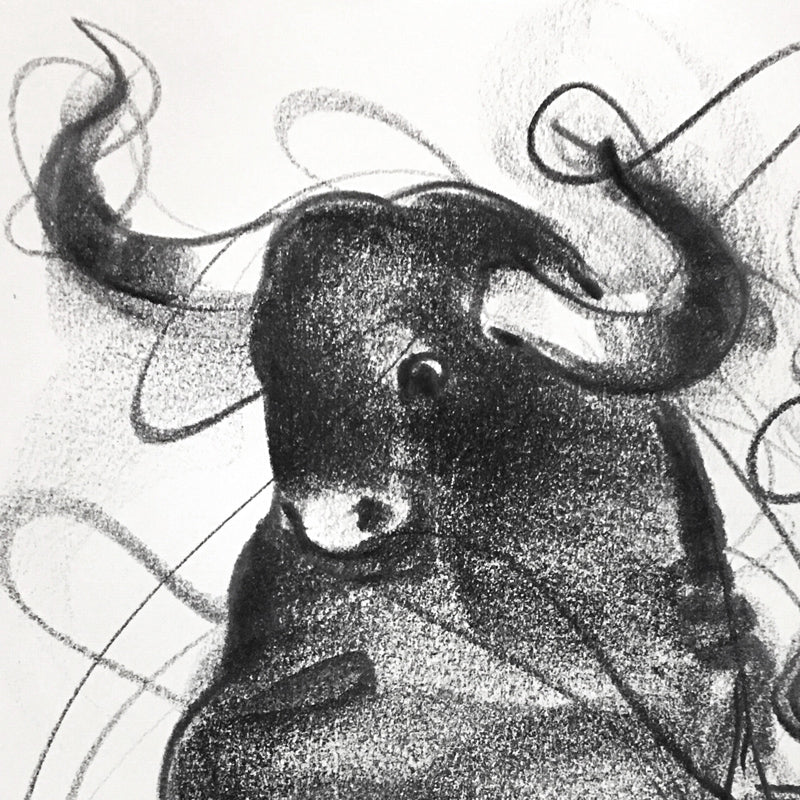 Bull Drawing-700