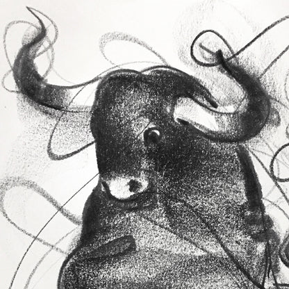 Bull Drawing-700