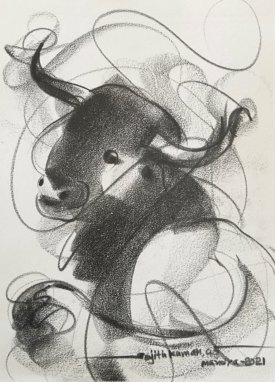Bull Drawing-955