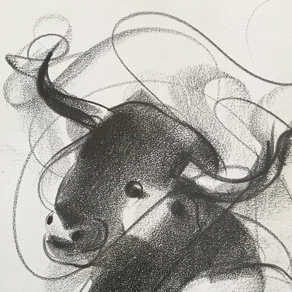 Bull Drawing-955