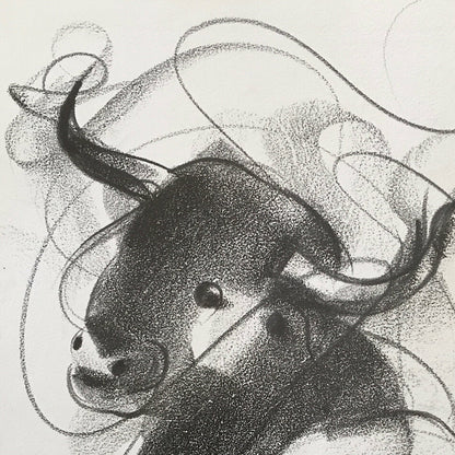 Bull Drawing-955