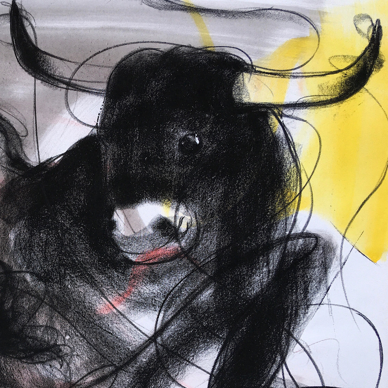Bull Drawing-962