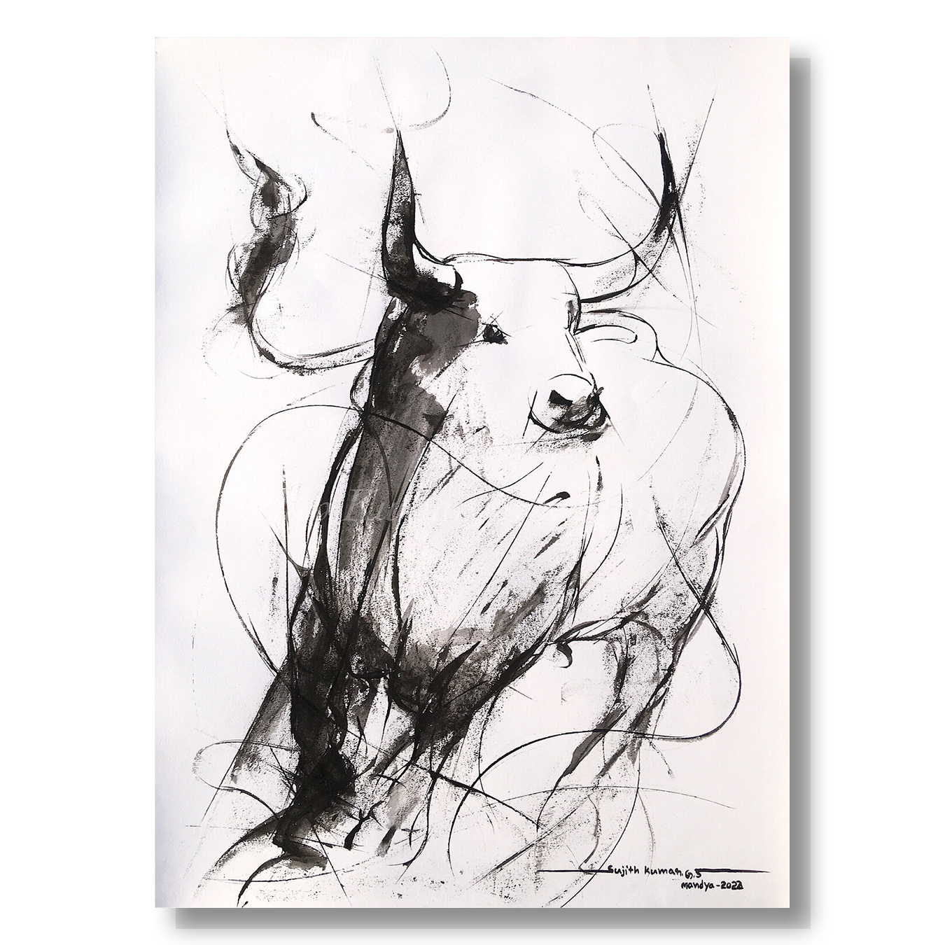 Bull Drawing-967