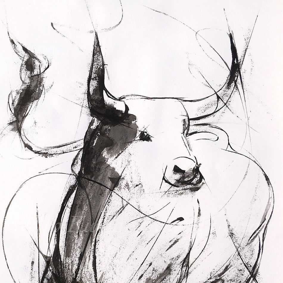 Bull Drawing-967