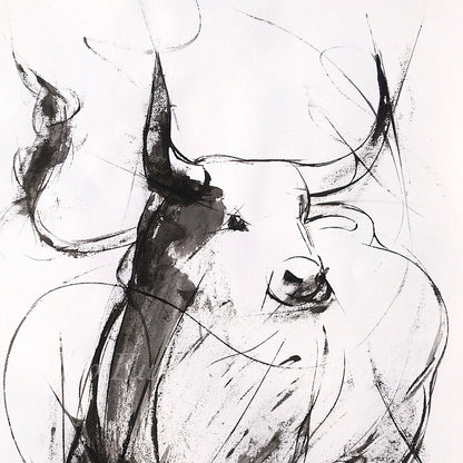 Bull Drawing-967