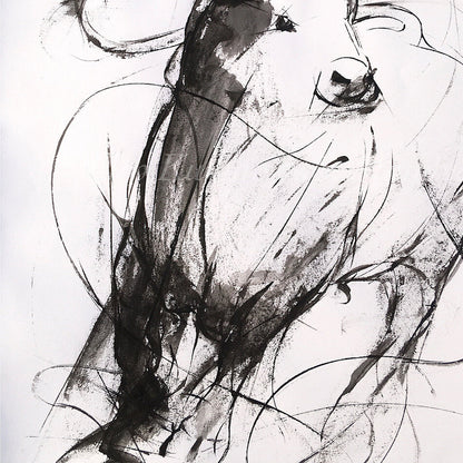 Bull Drawing-967